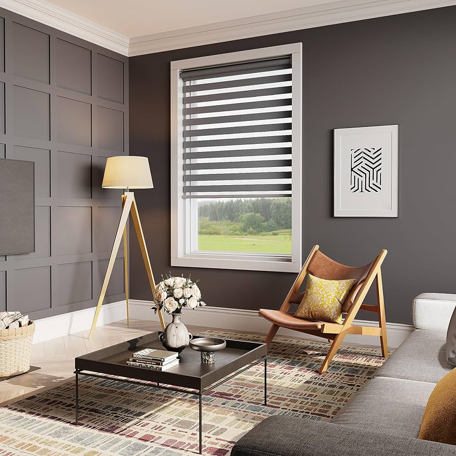 Amazon.com: May in Color Zebra Blinds for Windows with